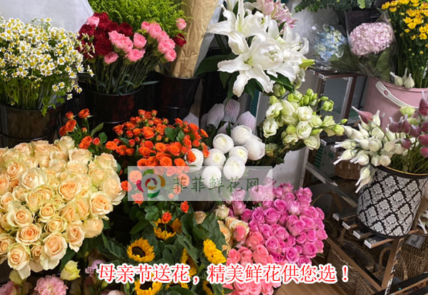2024新乡卫滨区母亲节送花,新乡卫滨区精美鲜花供您选!